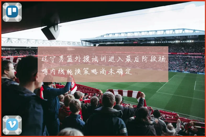 辽宁男篮外援试训进入最后阶段杨鸣内线轮换策略尚未确定