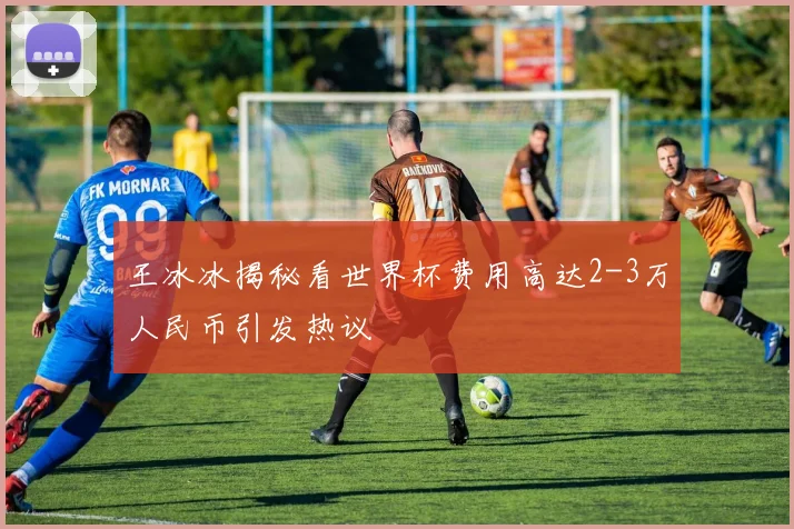 王冰冰揭秘看世界杯费用高达2-3万人民币引发热议