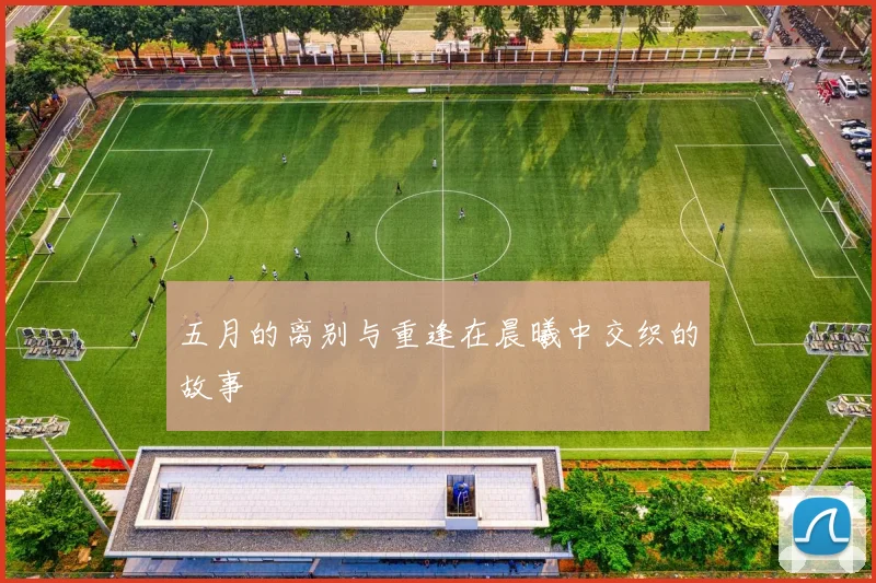五月的离别与重逢在晨曦中交织的故事